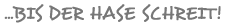 bis der Hase schreit